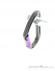 DMM Shadow Straight Gate Carabiner, , Purple, , Male,Female,Unisex, 0096-10210, 5637896944, , N3-08.jpg