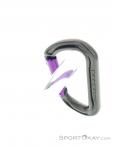 DMM Shadow Straight Gate Carabiner, , Purple, , Male,Female,Unisex, 0096-10210, 5637896944, , N3-13.jpg