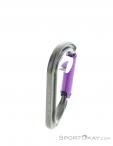 DMM Shadow Straight Gate Carabiner, , Purple, , Male,Female,Unisex, 0096-10210, 5637896944, , N3-18.jpg