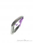DMM Shadow Straight Gate Carabiner, , Purple, , Male,Female,Unisex, 0096-10210, 5637896944, , N4-19.jpg
