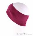Salewa Cristallo Headband, , Purple, , Male,Female,Unisex, 0032-11050, 5637900919, , N1-11.jpg
