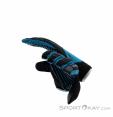 Dynafit Radical 2 Softshell Gloves Gants, Dynafit, Turquoise, , Hommes,Femmes,Unisex, 0015-10816, 5637902677, 4053866300650, N4-14.jpg