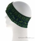 Dynafit Performance Warm Headband, Dynafit, Green, , Male,Female,Unisex, 0015-11010, 5637903934, 4053866176040, N1-11.jpg