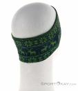 Dynafit Performance Warm Headband, Dynafit, Green, , Male,Female,Unisex, 0015-11010, 5637903934, 4053866176040, N1-16.jpg
