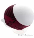 Dynafit Graphic Performance Headband, Dynafit, Purple, , Male,Female,Unisex, 0015-11245, 5637903952, 4053866306119, N4-09.jpg