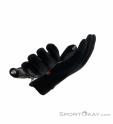 Löffler Glove WS Warm GTX Gloves Gore-Tex, Löffler, Black, , Male,Female,Unisex, 0008-10996, 5637907447, 9006063701602, N5-20.jpg