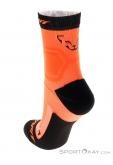 Dynafit Alpine Short Running Socks, , Orange, , Male,Female, 0015-11279, 5637912823, , N2-12.jpg