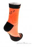 Dynafit Alpine Short Running Socks, , Orange, , Male,Female, 0015-11279, 5637912823, , N2-17.jpg