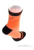 Dynafit Alpine Short Running Socks, Dynafit, Orange, , Male,Female, 0015-11279, 5637912823, 4053865710030, N3-18.jpg