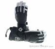 Hestra Army Leather Heli Ski Gloves, , Gray, , Male,Female,Unisex, 0398-10011, 5637919754, , N2-02.jpg