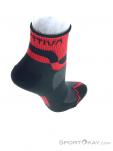 La Sportiva Trail Runnung Running Socks, , Red, , Male,Female, 0024-10892, 5637921267, , N3-18.jpg