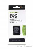 Blackroll Loop Band Elastic Fitness Band, Blackroll, Black, , , 0222-10057, 5637924505, 4260346273339, N1-01.jpg