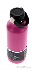 Hydro Flask 18 OZ Standard Carnation 0,53l Thermos Bottle, Hydro Flask, Pink, , , 0311-10052, 5637928338, 810028842311, N3-08.jpg