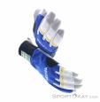 Hestra Windstopper Race Tracker GTX Gloves Gore-Tex, , Blue, , Male,Female,Unisex, 0398-10006, 5637929386, , N4-04.jpg