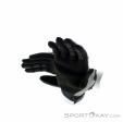 Fox Dirtpaw Biking Gloves, Fox, Gray, , Male,Female,Unisex, 0236-10538, 5637937486, 191972584534, N3-13.jpg