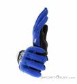 Fox Dirtpaw Biking Gloves, Fox, Blue, , Male,Female,Unisex, 0236-10538, 5637937489, 191972433139, N1-06.jpg