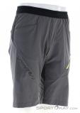 Dynafit Transalper Hybrid Shorts Mens Outdoor Shorts, , Dark-Grey, , Male, 0015-11332, 5637942972, , N1-01.jpg