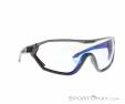 Alpina S-Way V Sports Glasses, , Gray, , Male,Female,Unisex, 0027-10207, 5637954137, , N1-01.jpg