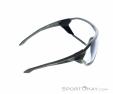 Alpina S-Way V Sports Glasses, Alpina, Gray, , Male,Female,Unisex, 0027-10207, 5637954137, 4003692309624, N2-17.jpg