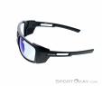 Alpina Skywalsh V Sports Glasses, , Noir, , Hommes,Femmes,Unisex, 0027-10208, 5637954138, , N2-07.jpg