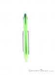 Edelrid Nineteen G Carabiner, , Light-Green, , Male,Female,Unisex, 0084-10381, 5637956613, , N1-16.jpg