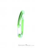 Edelrid Nineteen G Carabiner, , Light-Green, , Male,Female,Unisex, 0084-10381, 5637956613, , N2-07.jpg