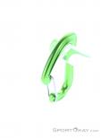 Edelrid Nineteen G Carabiner, , Light-Green, , Male,Female,Unisex, 0084-10381, 5637956613, , N3-08.jpg