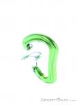 Edelrid Nineteen G Carabiner, , Light-Green, , Male,Female,Unisex, 0084-10381, 5637956613, , N3-13.jpg