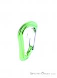 Edelrid Nineteen G Carabiner, , Light-Green, , Male,Female,Unisex, 0084-10381, 5637956613, , N3-18.jpg