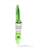 Edelrid Pure Screw Safe Lock Carabiner, , Light-Green, , Male,Female,Unisex, 0084-10382, 5637956616, , N1-06.jpg