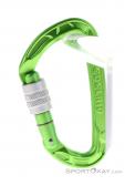 Edelrid Pure Screw Safe Lock Carabiner, , Light-Green, , Male,Female,Unisex, 0084-10382, 5637956616, , N1-11.jpg
