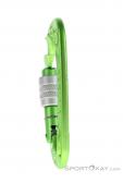 Edelrid Pure Screw Safe Lock Carabiner, , Light-Green, , Male,Female,Unisex, 0084-10382, 5637956616, , N1-16.jpg