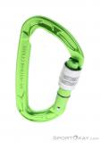 Edelrid Pure Screw Safe Lock Carabiner, , Light-Green, , Male,Female,Unisex, 0084-10382, 5637956616, , N2-02.jpg