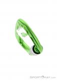 Edelrid Pure Screw Safe Lock Carabiner, , Light-Green, , Male,Female,Unisex, 0084-10382, 5637956616, , N4-04.jpg