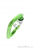 Edelrid Pure Screw Safe Lock Carabiner, , Light-Green, , Male,Female,Unisex, 0084-10382, 5637956616, , N4-19.jpg