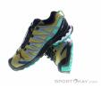 Salomon XA Pro D v8 GTX Mens Trail Running Shoes Gore-Tex, Salomon, Olive-Dark Green, , Male, 0018-11583, 5637956864, 0, N2-07.jpg