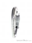 Edelrid Bulletproof Screw Eco Carabiner, , Silver, , Male,Female,Unisex, 0084-10403, 5637958722, , N2-17.jpg