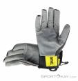 Grivel Vertigo Gloves, Grivel, Black, , Male,Female,Unisex, 0123-10168, 5637968920, 8050030803111, N1-11.jpg