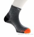 Salewa MTN TRN AM Quarter Sock Mens Socks, Salewa, Blue, , Male, 0032-11176, 5637970245, 4053866402194, N1-01.jpg