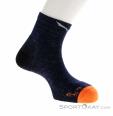 Salewa Wildfire AM/HEMP Quarter Sock Mens Socks, Salewa, Blue, , Male, 0032-11178, 5637970262, 4053866402040, N1-01.jpg