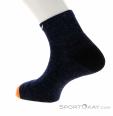 Salewa Wildfire AM/HEMP Quarter Sock Mens Socks, Salewa, Blue, , Male, 0032-11178, 5637970262, 4053866402040, N1-11.jpg