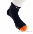 Salewa Wildfire AM/HEMP Quarter Sock Mens Socks, Salewa, Blue, , Male, 0032-11178, 5637970262, 4053866402040, N2-02.jpg