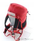 Camp M 20l Backpack, , Red, , Male,Female,Unisex, 0077-10221, 5637973222, , N3-13.jpg
