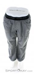Edelrid Legacy Pants Mens Climbing Pants, , Gray, , Male, 0084-10427, 5637974245, , N3-03.jpg