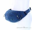 Osprey Daylite Waist 2l Hip Bag, , Blue, , Male,Female,Unisex, 0149-10385, 5637981740, , N1-06.jpg