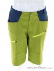 Vaude Tekoa Shorts III Mens Outdoor Pants, Vaude, Light-Green, , Male, 0239-11063, 5637990815, 4062218299603, N2-02.jpg