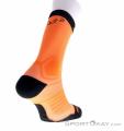 Dynafit Ultra Cushion Socks Calcetines de running, Dynafit, Naranja, , Hombre,Mujer, 0015-11280, 5637993096, 4053865710009, N1-16.jpg