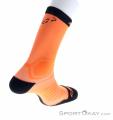 Dynafit Ultra Cushion Socks Calze da Corsa, Dynafit, Arancione, , Uomo,Donna, 0015-11280, 5637993096, 4053865710009, N2-17.jpg