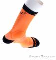 Dynafit Ultra Cushion Socks Bežecké ponožky, Dynafit, Oranžová, , Muži,Ženy, 0015-11280, 5637993096, 4053865710009, N3-18.jpg