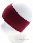 Salewa Cristallo Headband, Salewa, Pink, , Male,Female,Unisex, 0032-11140, 5637993599, 4053866332828, N3-08.jpg